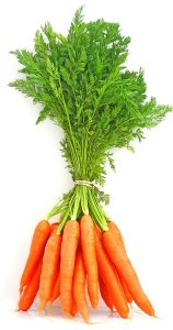 Nantes Carrot