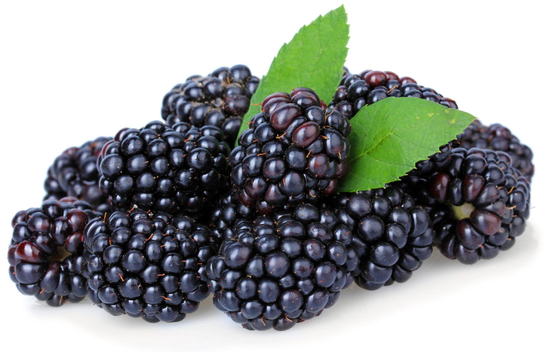 Blackberry