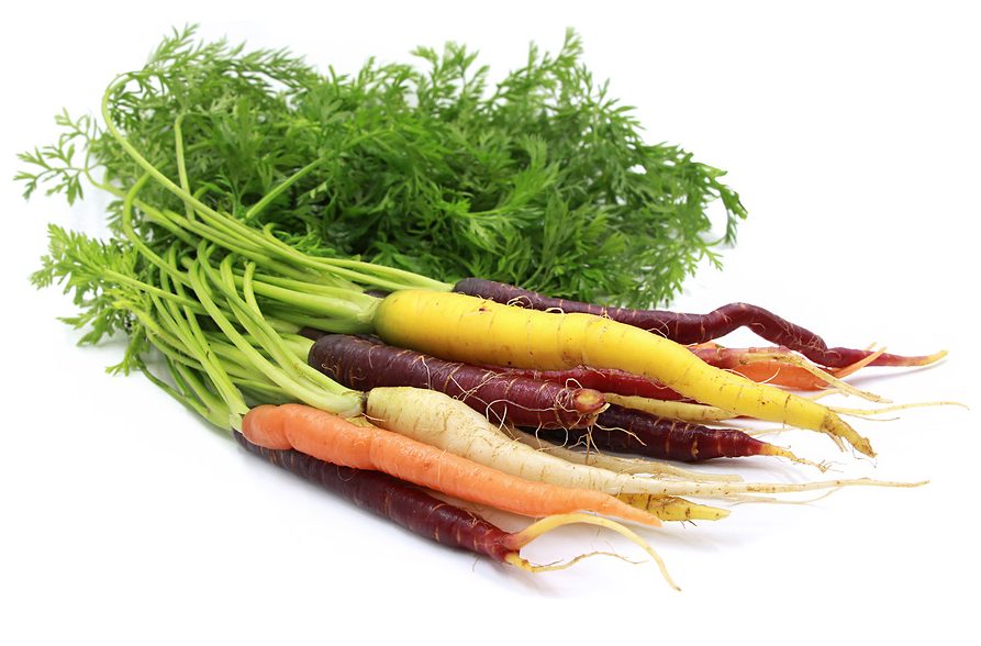 Bunched Rainbow Carrots
