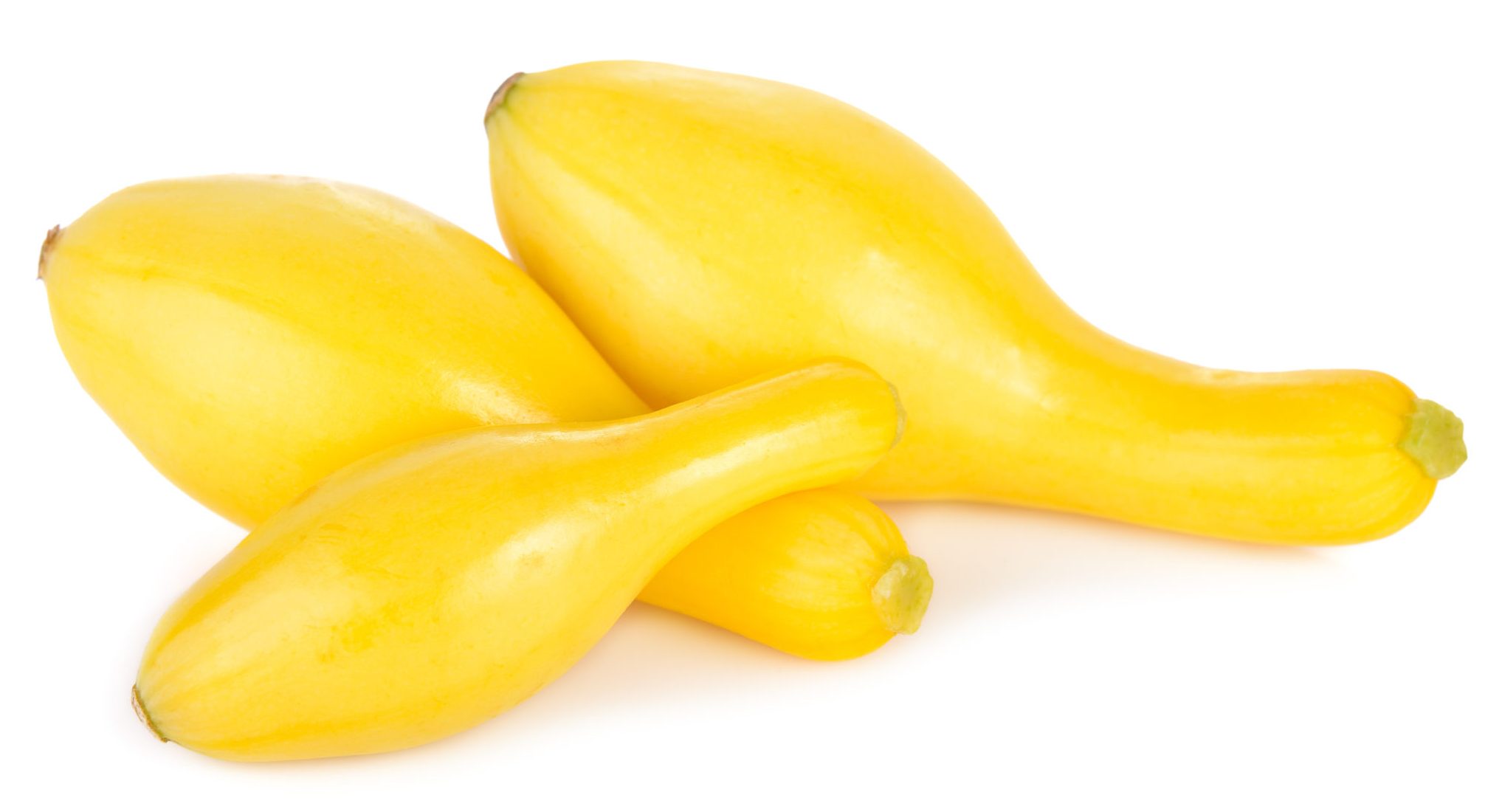 Crookneck Squash