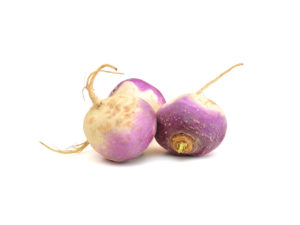 Purple Top Turnip