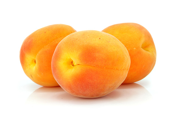 Blenheim Apricot