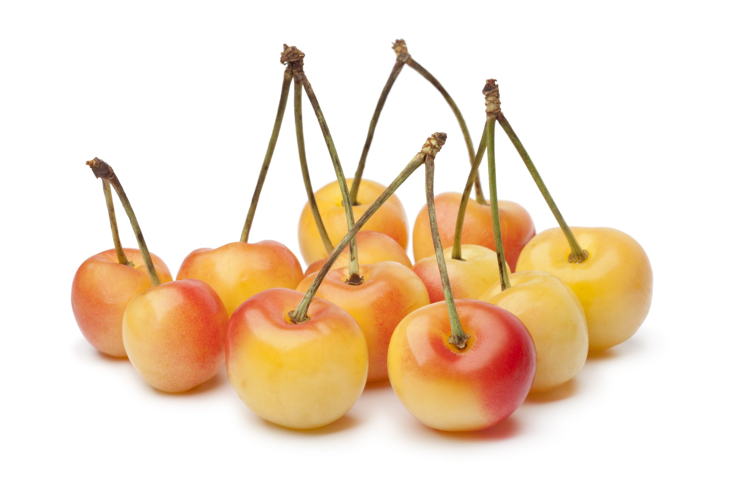 Rainer Cherry