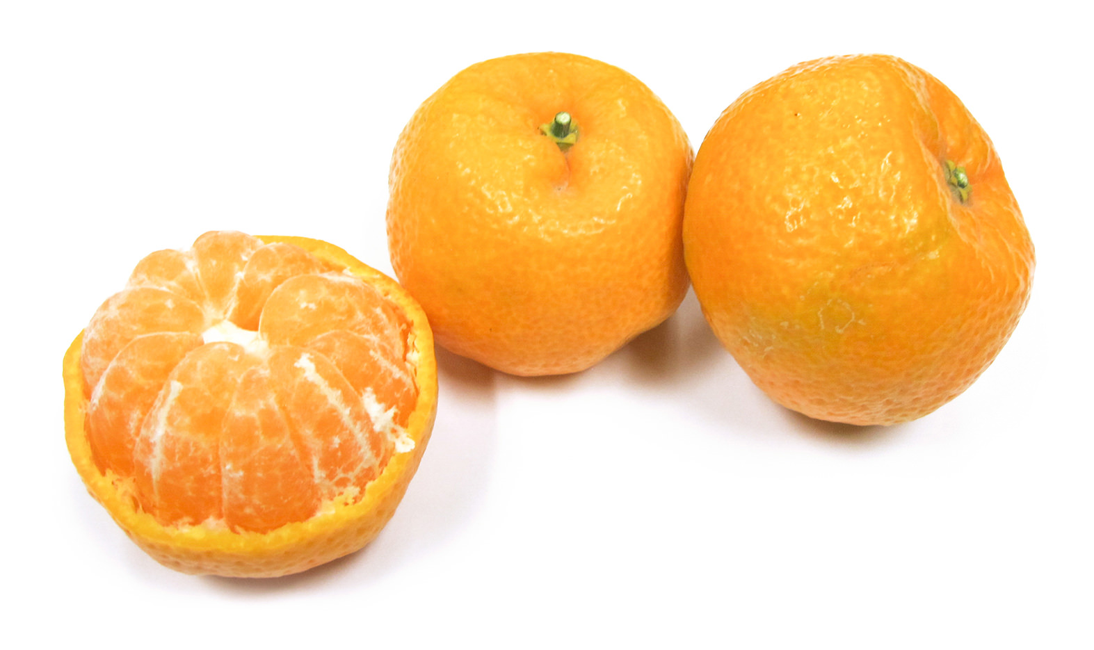 Kishu Tangerine