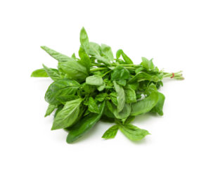 Bunch Basil