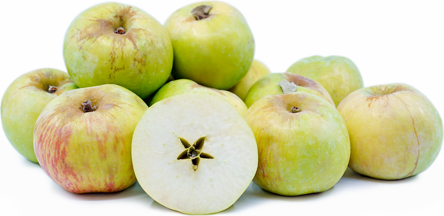 Gravenstein Apple
