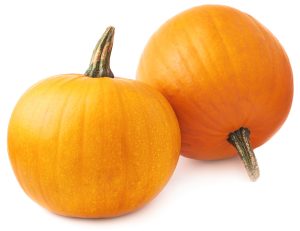 Sugar Pie Pumpkin
