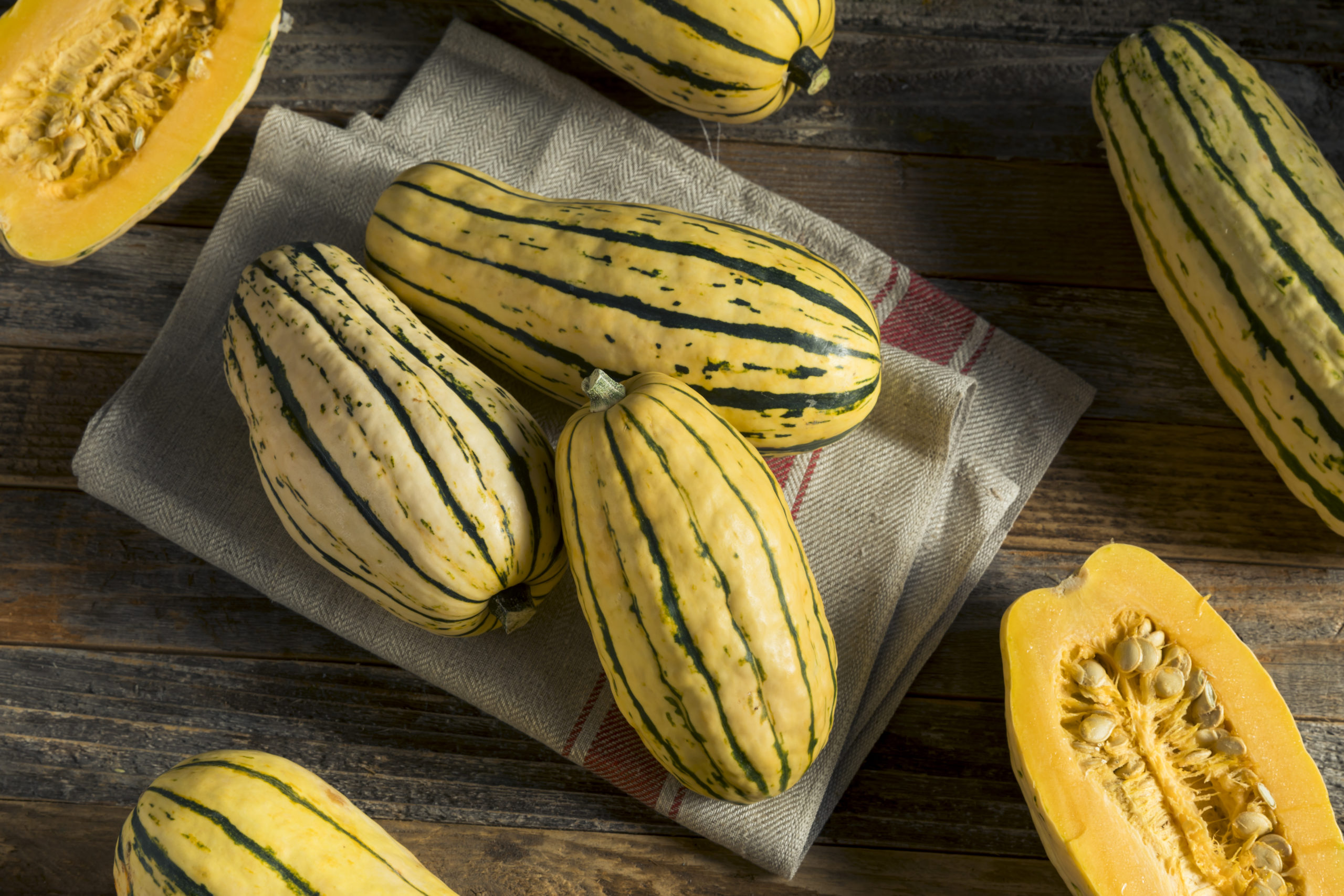 Delicata Squash Is Gourdgeous Veritable Vegetable