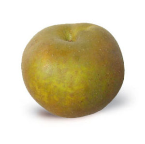Ashmead's Kernal Apple