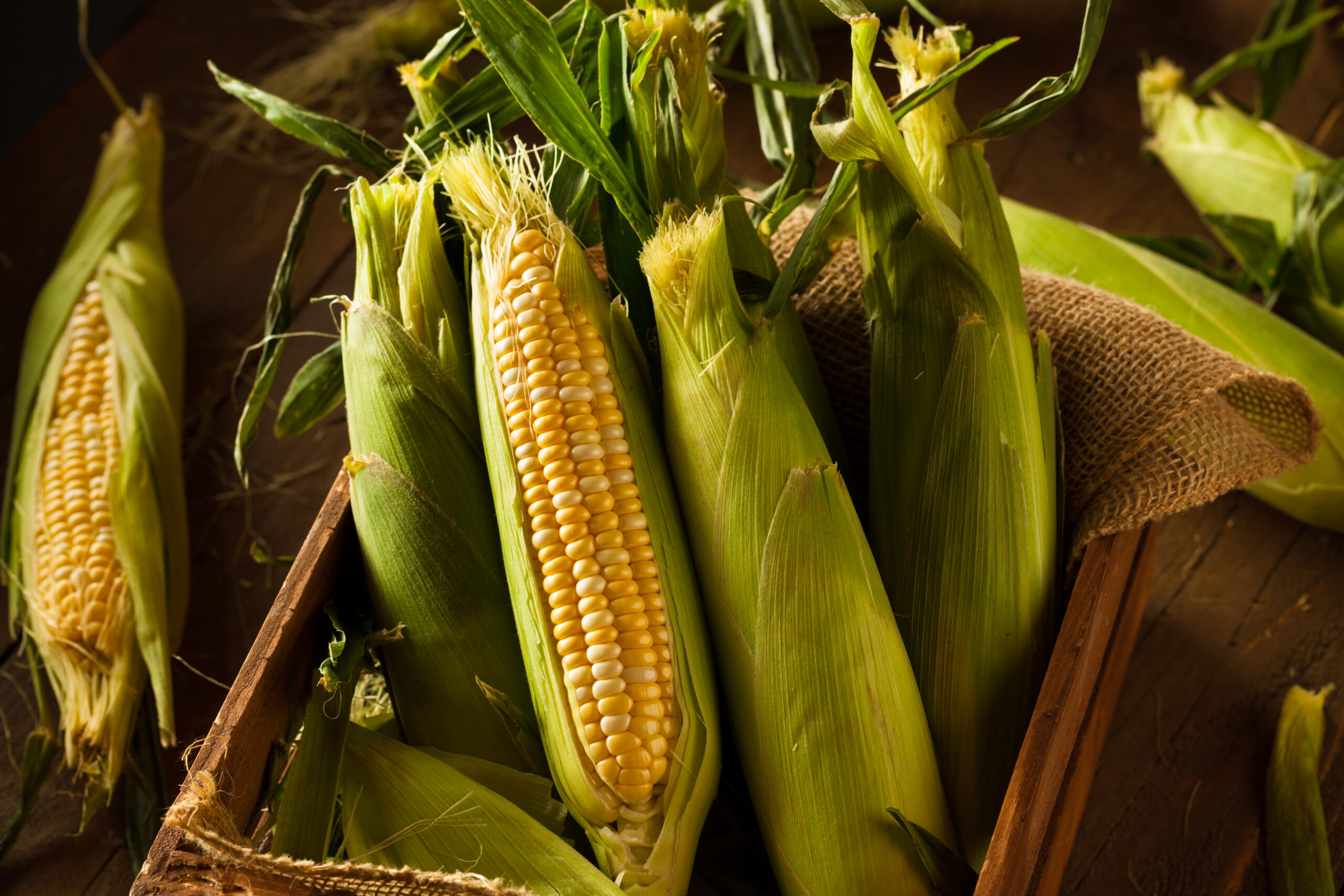 Sweet Summer Corn Veritable Vegetable