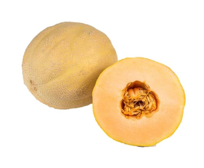 Melon Variety Guide Veritable Vegetable