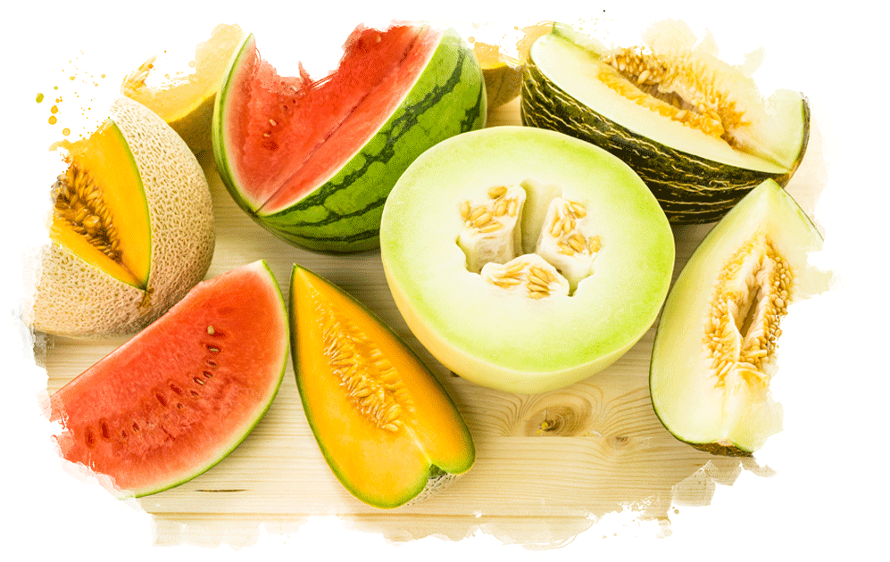 Melon Variety Guide Veritable Vegetable