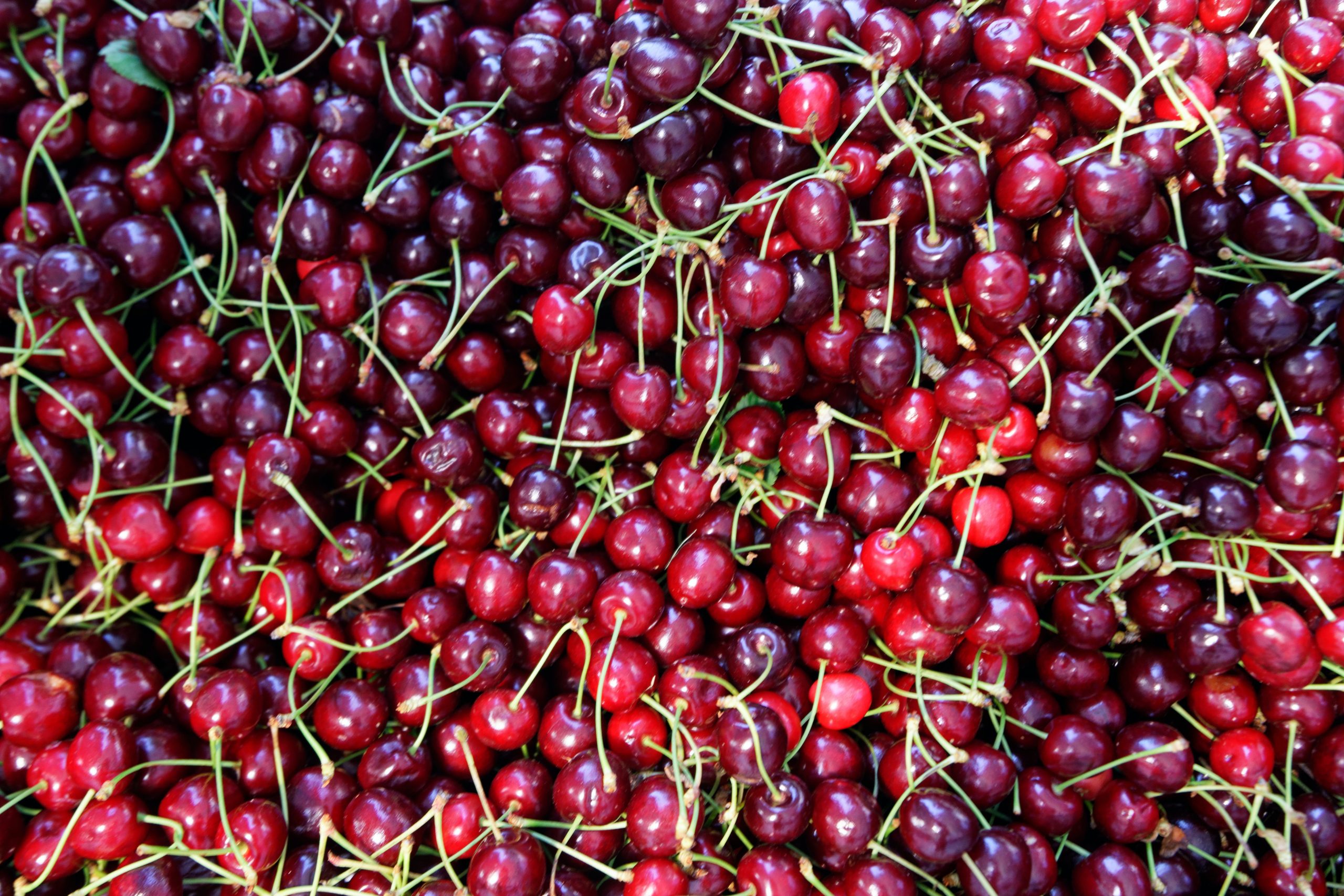 Cherry Examples Cherry Varietal Guide - Veritable Vegetable
