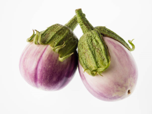 Eggplant - Rosa Bianca