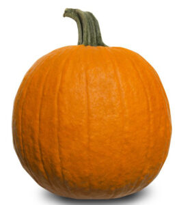 Jack O'Lantern Pumpkin