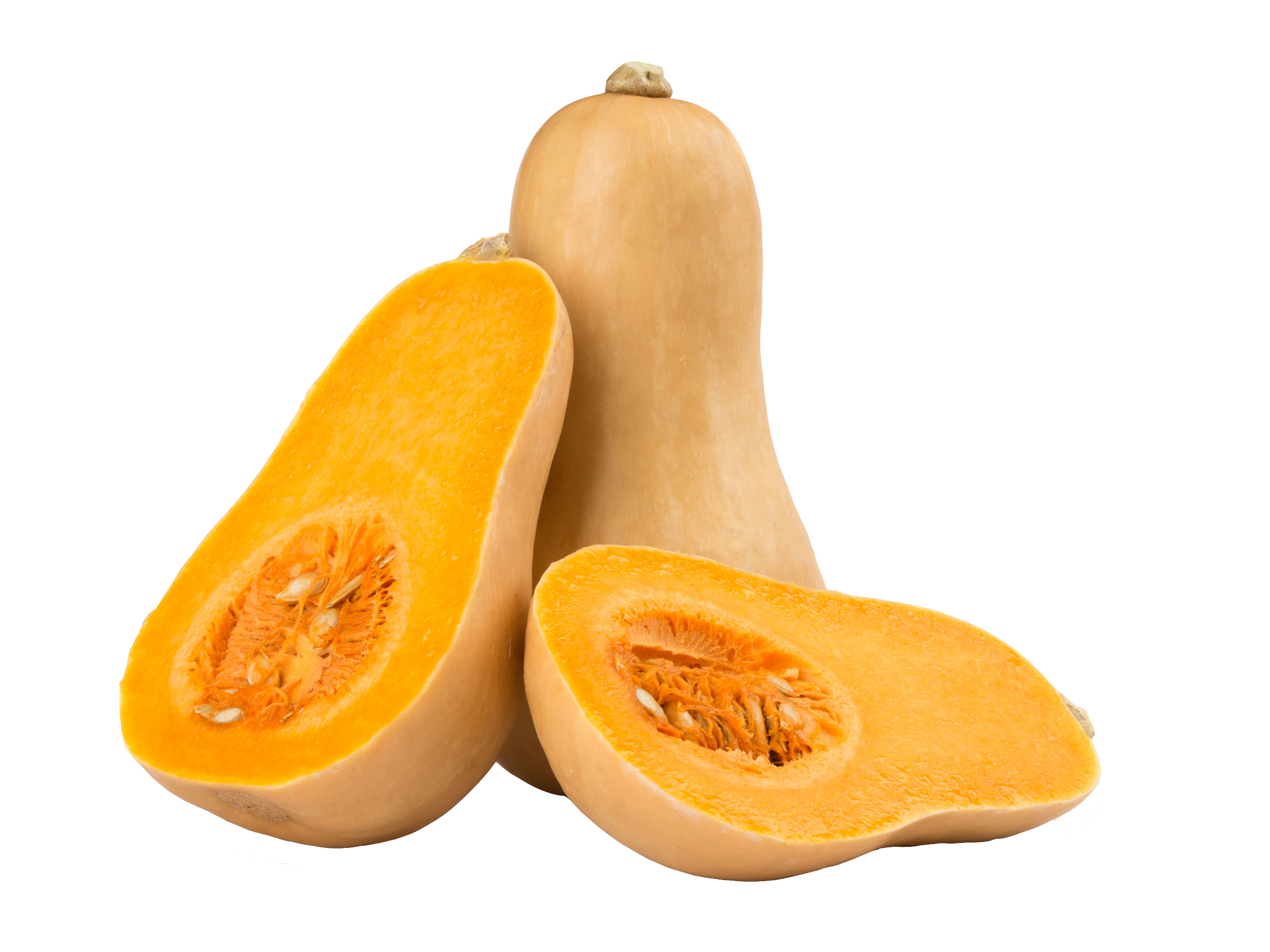 Butternut Squash