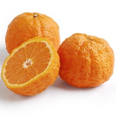 Gold Nugget Tangerine