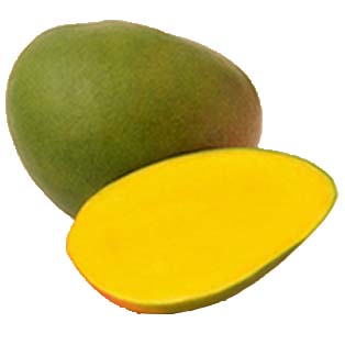 kent mango
