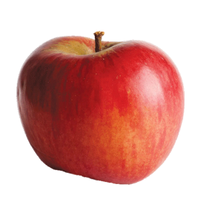 Sierra Beauty apple