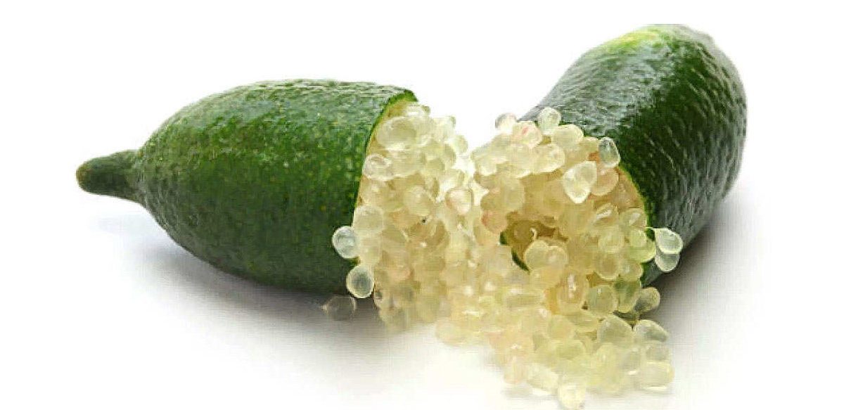 finger lime