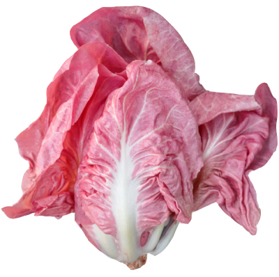 rosa radicchio