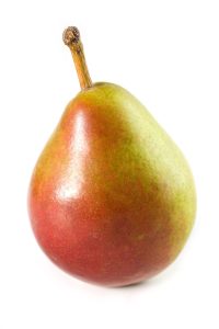 seckel pear