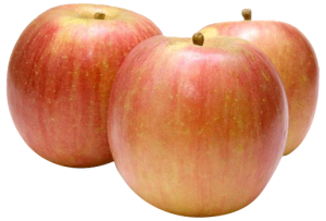 fuji apple