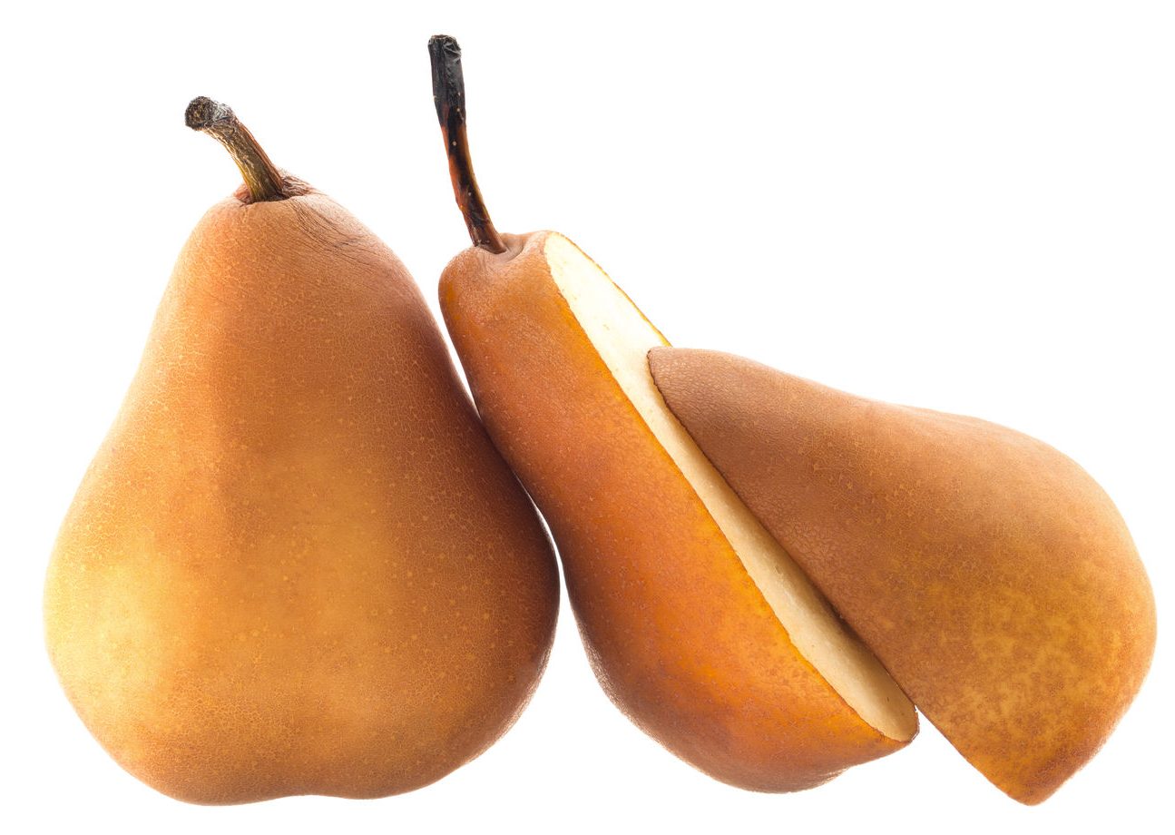 bosc pear