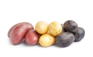 potatofingerlingvariety