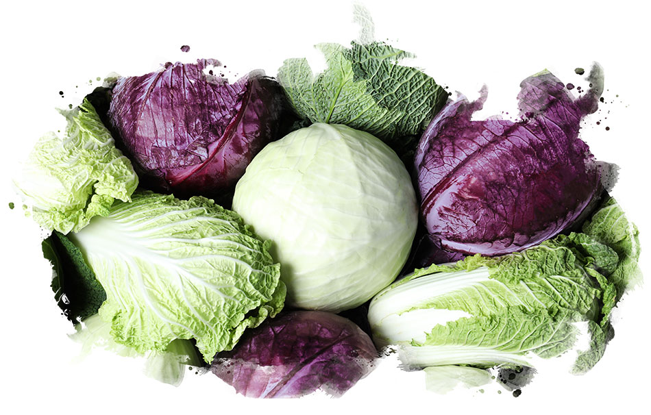 assorted cabbage
