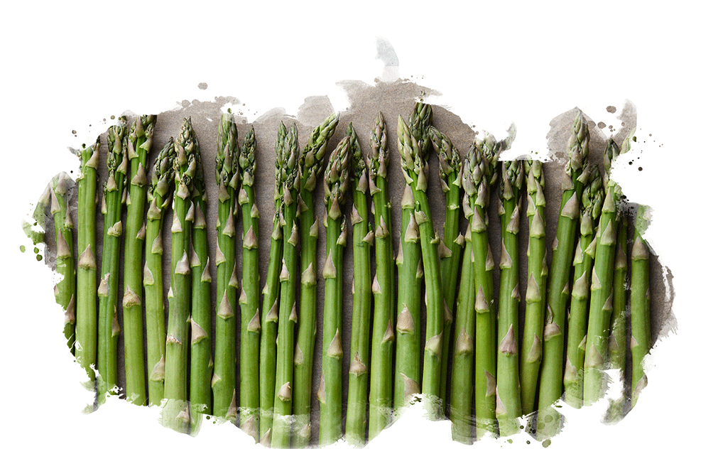 asparagus