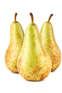 conference pear