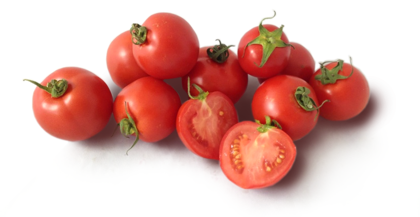 dry farmed early girl tomato
